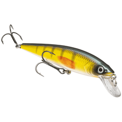 Strike King KVD Jerkbait