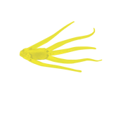 Maki Plastics Water Spider