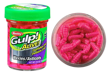 Berkley Gulp! Alive Waxies