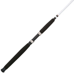 Berkley Big Game 2pc Spinning Rod