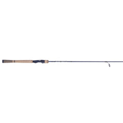 Fenwick Eagle 2pc Spinning Rod