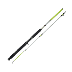 HT Ol' Whiskers 2pc Spinning Rod