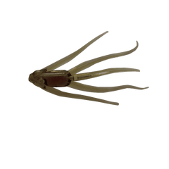 Maki Plastics Water Spider