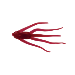 Maki Plastics Water Spider